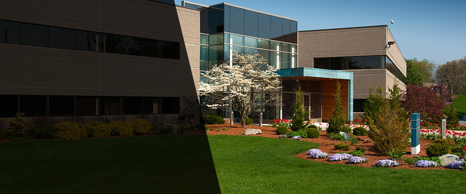 Blooming Glen Landscapers